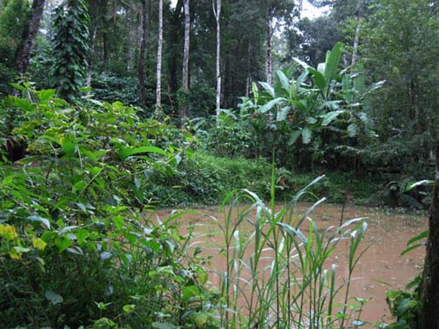 Coorg Karishma Homestay photo 13
