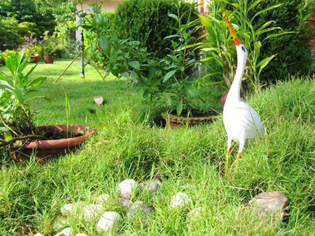 Coorg Karishma Homestay photo 16