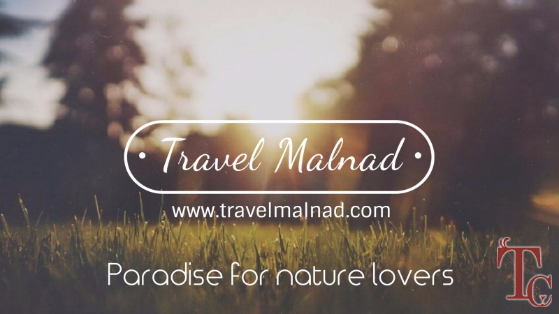 Malnad Homestays Packages photo 3