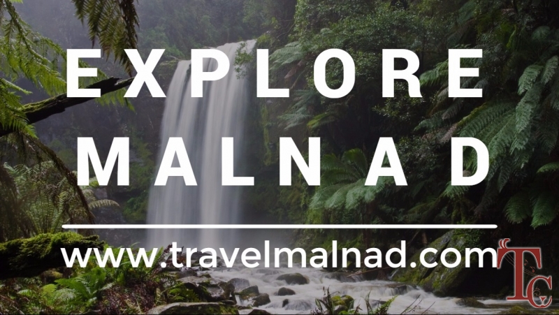 Malnad Homestays Packages photo 4