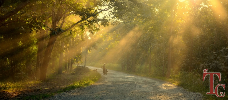 Malnad Homestays Packages photo 5