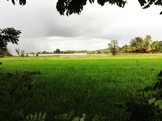 India