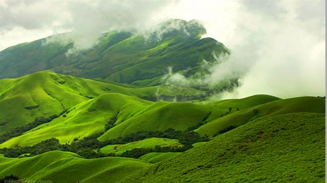 Malnad Homestays Packages photo 13
