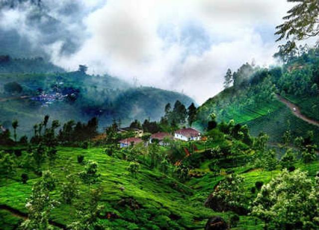 Malnad Homestays Packages photo 15