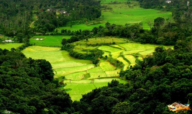 Malnad Homestays Packages photo 16