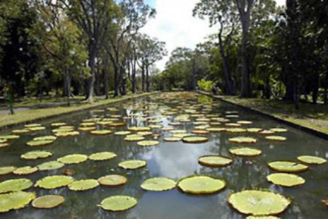 Mauritius photo 8