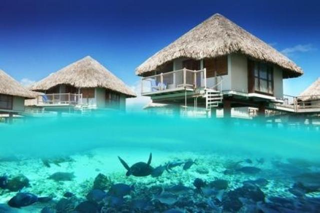 Mauritius with Le Meridien photo 12