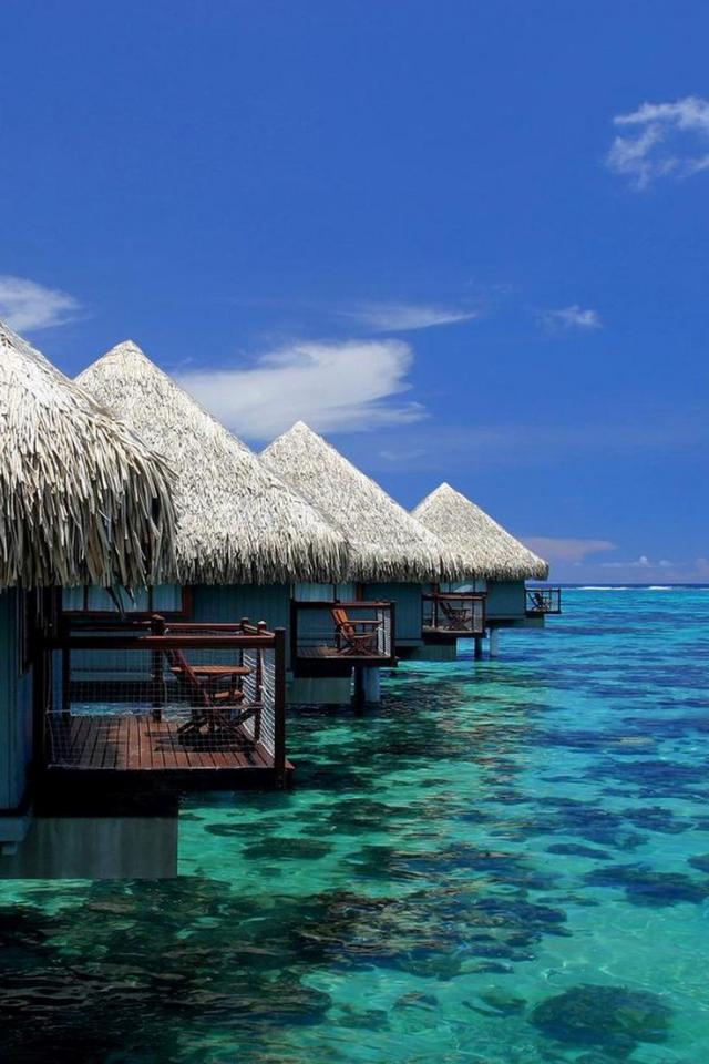 Mauritius with Le Meridien photo 23