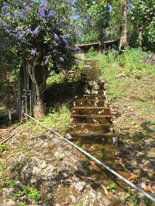 Coffee Tranquil Homestay photo 25