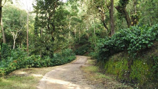 Coffee Tranquil Homestay photo 26