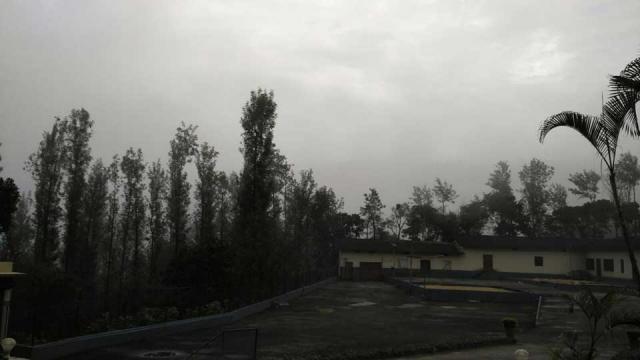Coffee Tranquil Homestay photo 29