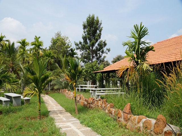 Vana Resort photo 6