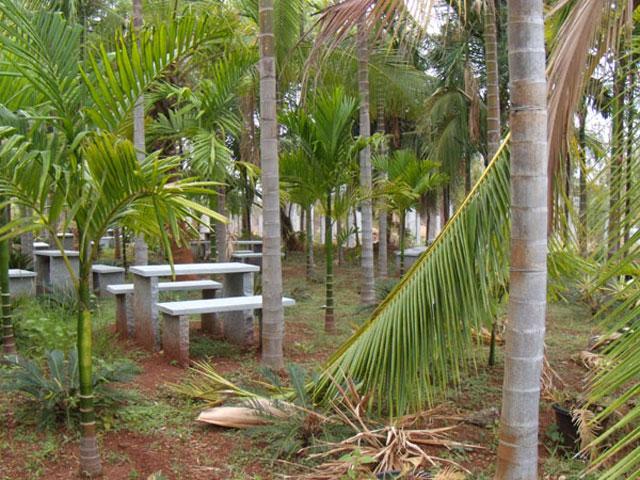 Vana Resort photo 11