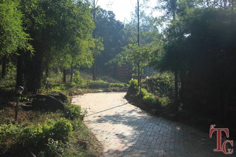 Devigiri Estate Homestay photo 2