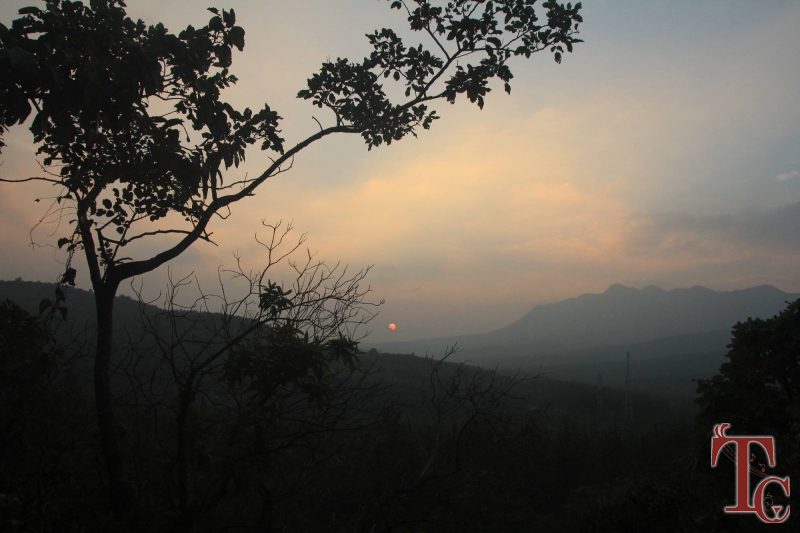 Devigiri Estate Homestay photo 4