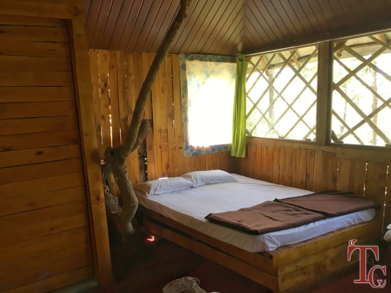Devigiri Estate Homestay photo 7