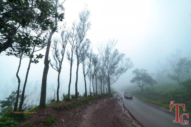 Devigiri Estate Homestay photo 8