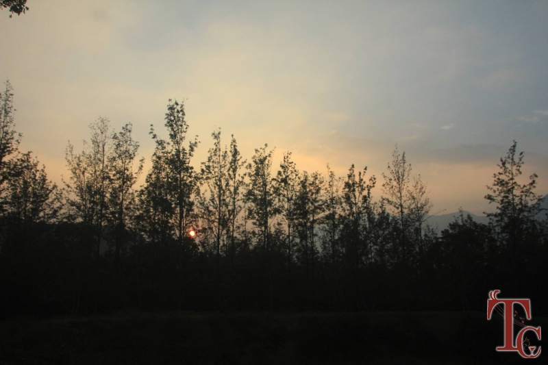 Devigiri Estate Homestay photo 12