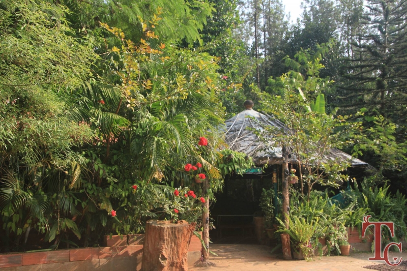 Devigiri Estate Homestay photo 14