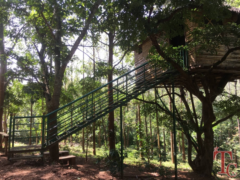 Devigiri Estate Homestay photo 20