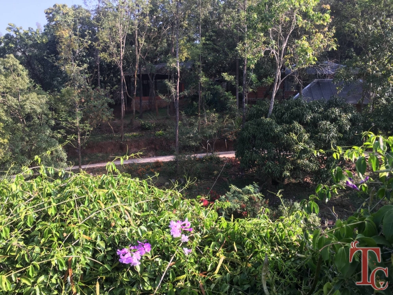 Devigiri Estate Homestay photo 22