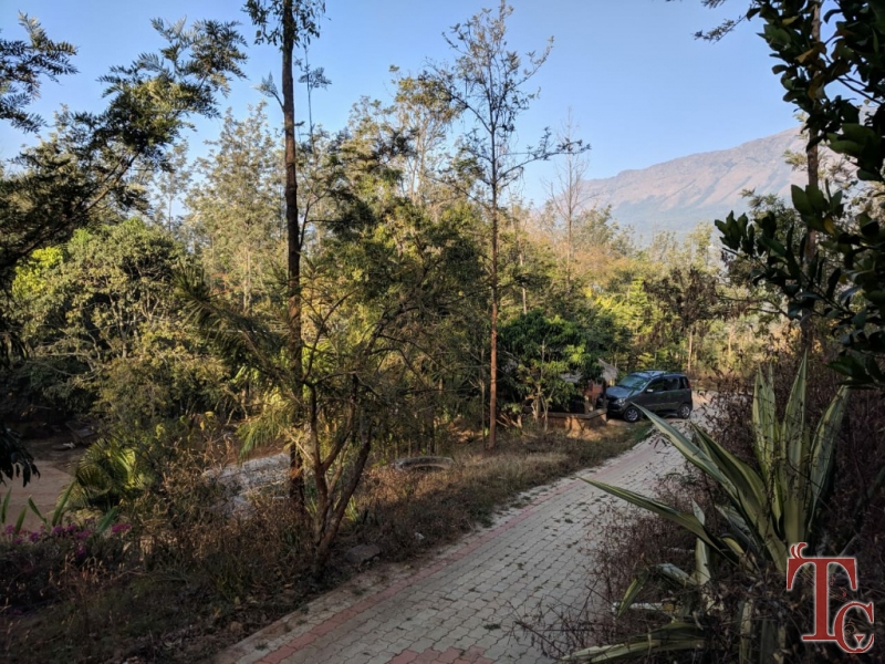 Devigiri Estate Homestay photo 35
