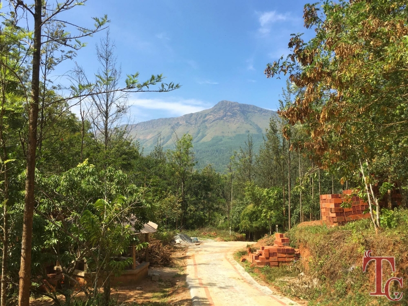 Devigiri Estate Homestay photo 48