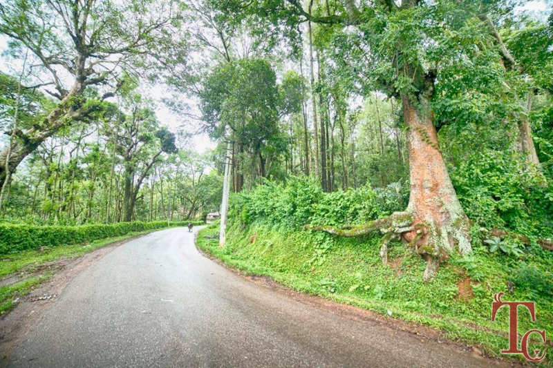 Devigiri Estate Homestay photo 49