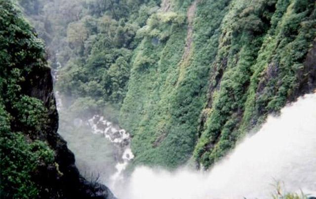 Hingaara Homestay photo 5
