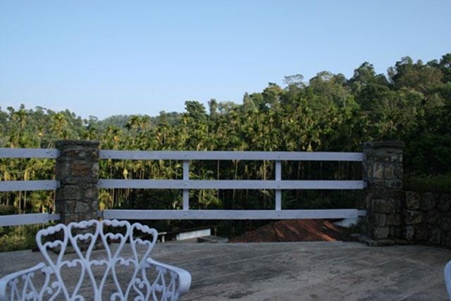 Captains Bungalow photo 12