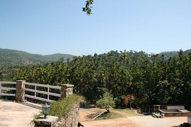 Captains Bungalow photo 17