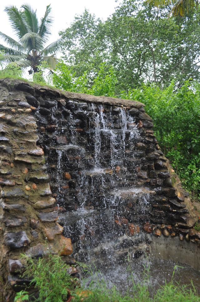 Hingaara Homestay photo 8