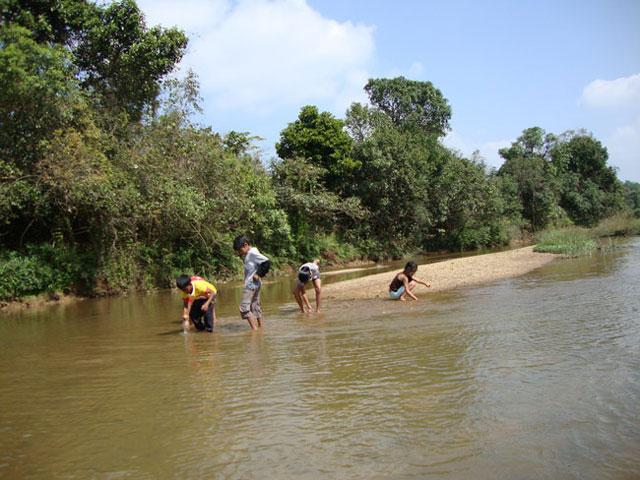 Natures Abode Homestay photo 2