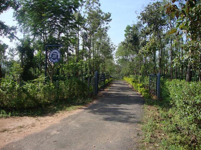 Natures Abode Homestay photo 3