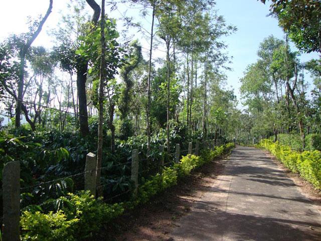 Natures Abode Homestay photo 4