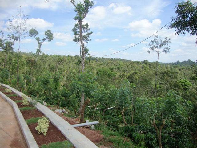 Natures Abode Homestay photo 8
