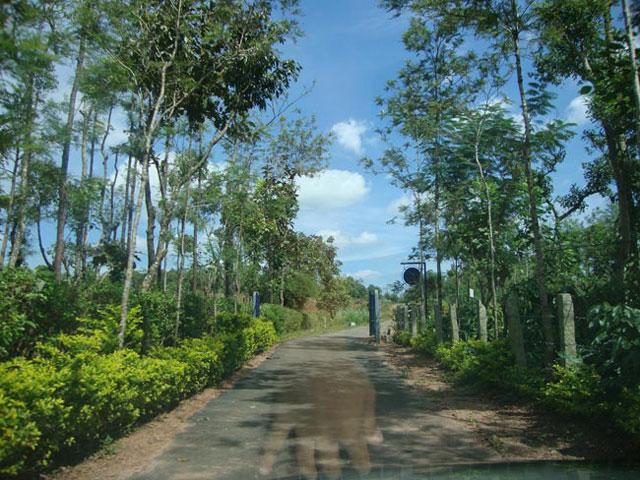 Natures Abode Homestay photo 23