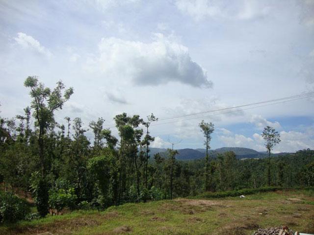 Natures Abode Homestay photo 26