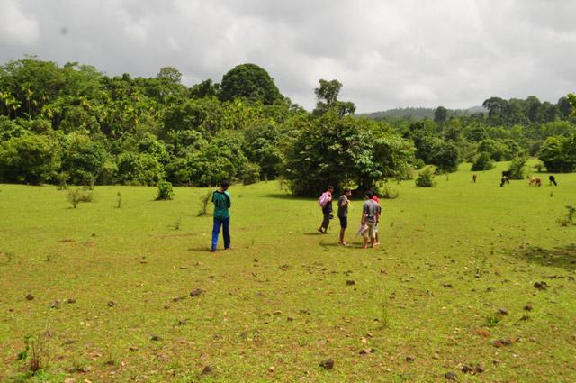 Hingaara Homestay photo 12