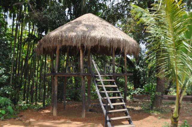 Hingaara Homestay photo 13