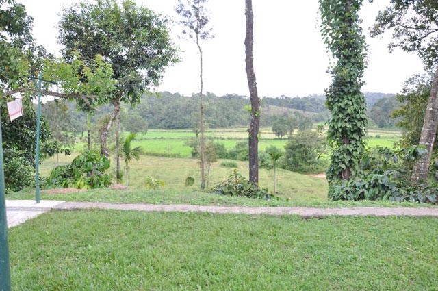Green Village Homestay photo 5