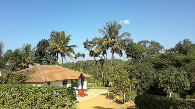 Green Village Homestay photo 11