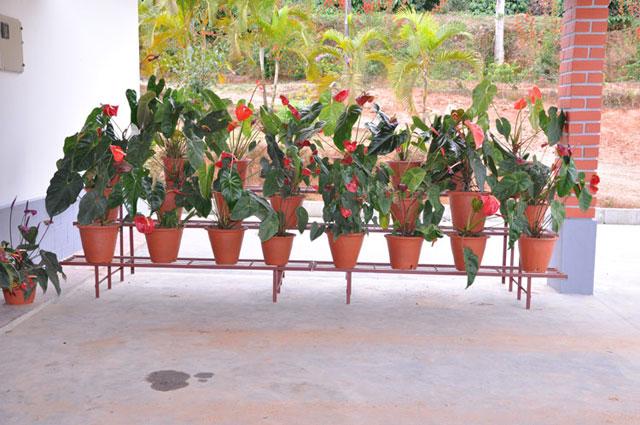 Green Village Homestay photo 13