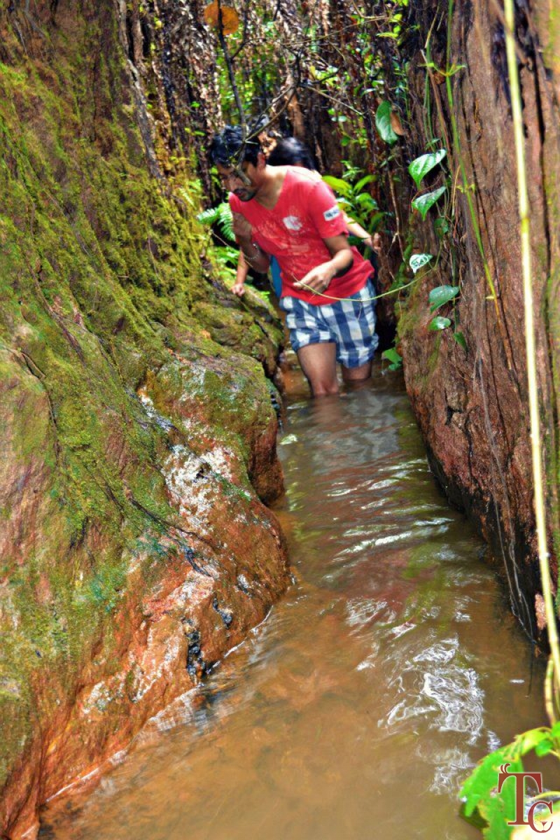 Hingaara Homestay photo 16