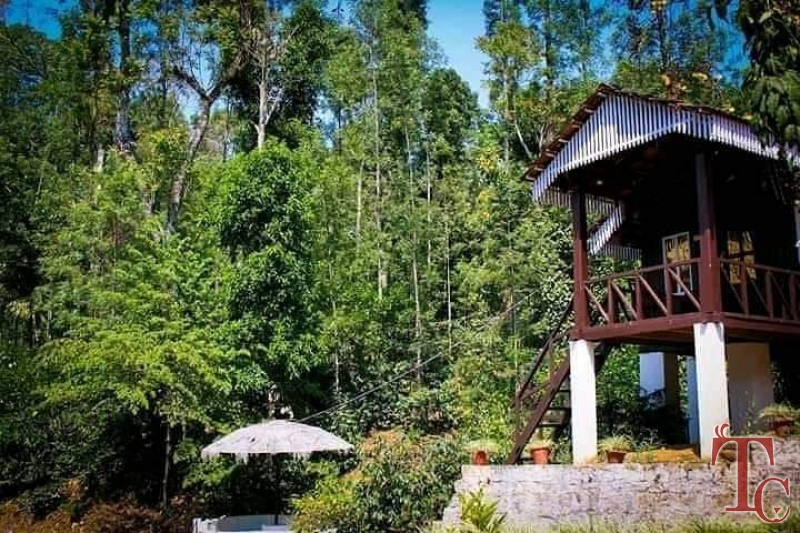 Jungle Greens Homestay photo 11