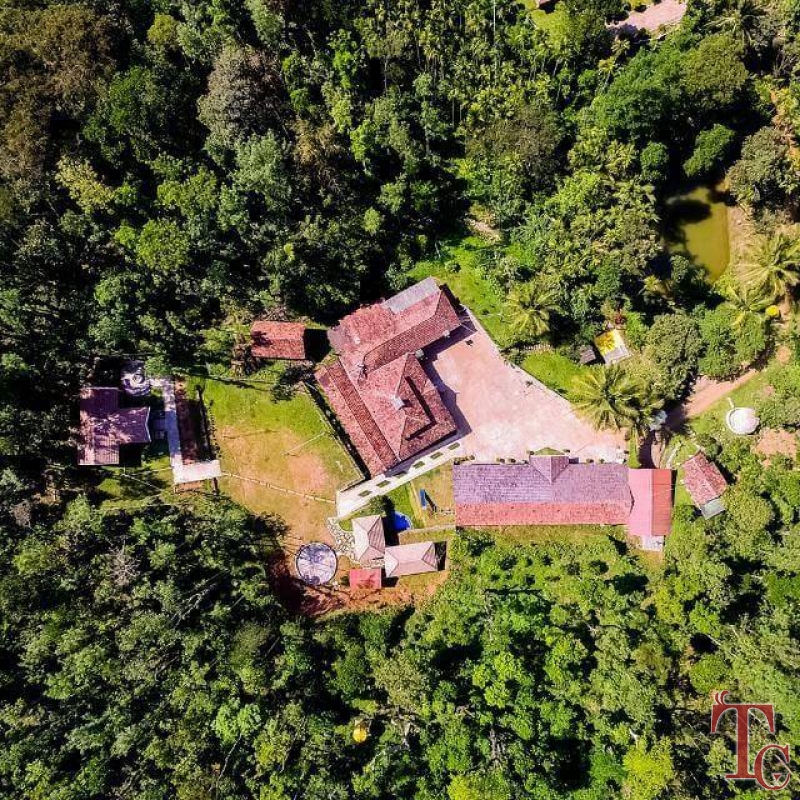 Jungle Greens Homestay photo 14