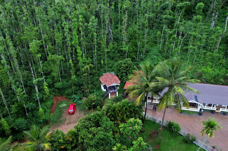 Jungle Greens Homestay photo 23
