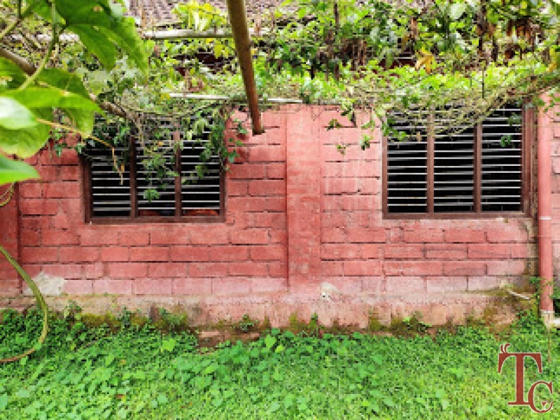 Hingaara Homestay photo 20