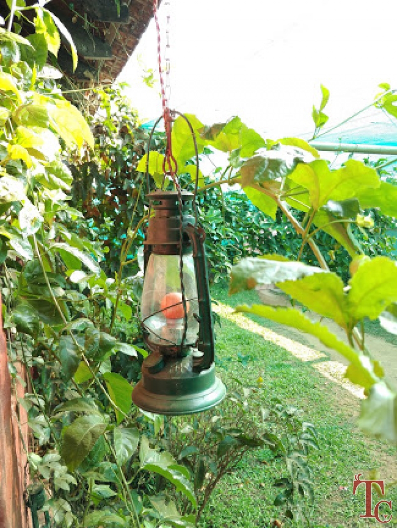 Hingaara Homestay photo 21