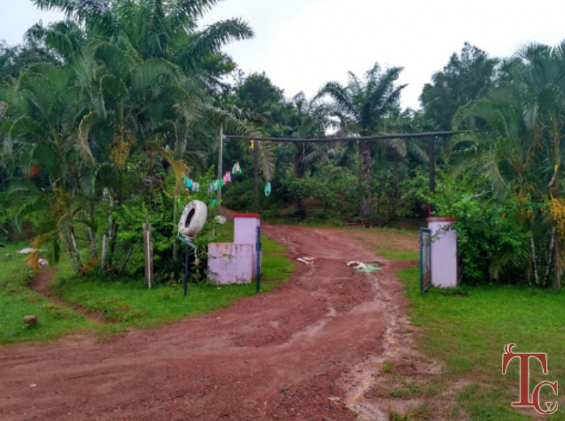 Hingaara Homestay photo 27